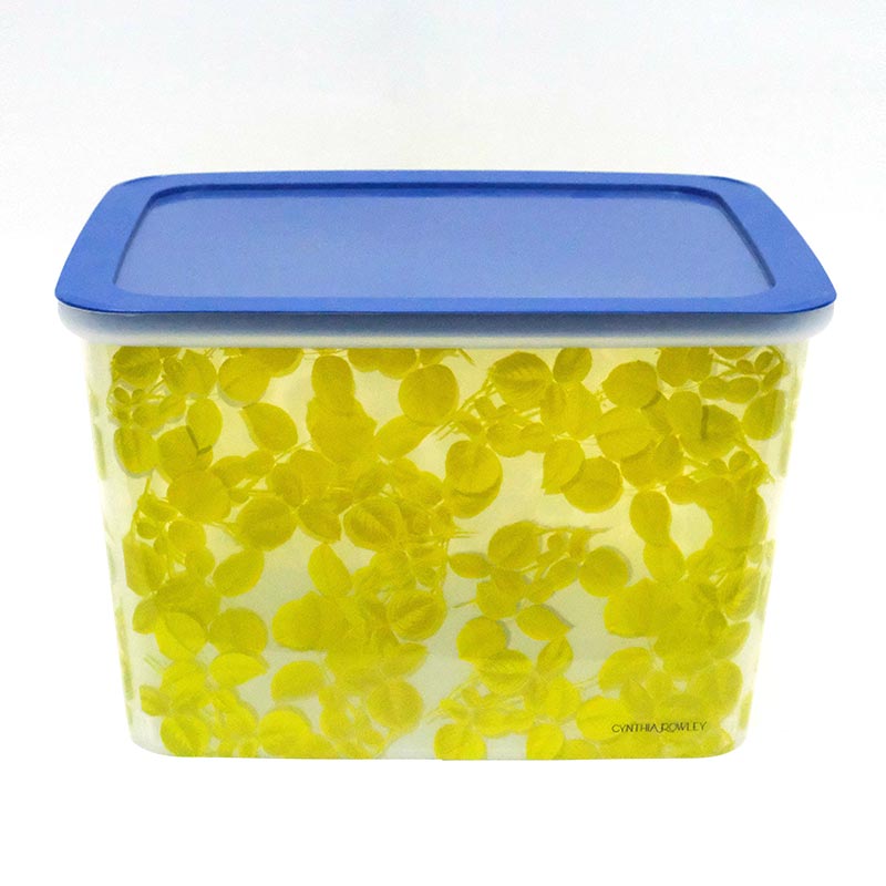 Phân loại hộp ép phun trong nhãn khuôn