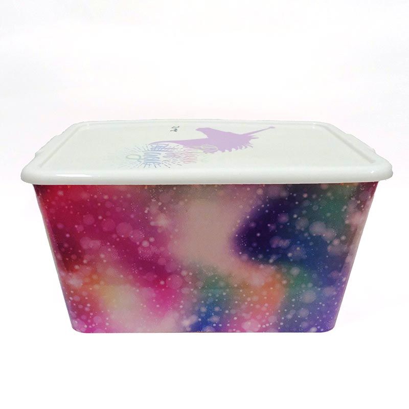 Thùng lưu trữ ép phun trong nhãn khuôn